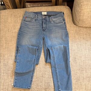 Hudson Jeans Women's Skinny Jeans in Light Blue